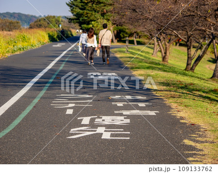 千葉県立・手賀沼自然ふれあい緑道(手賀沼南岸の歩行者・自転車専用の遊歩道) 千葉県立・手賀沼自然ふれあい緑道(手賀沼南岸の歩行者・自転車専用の遊歩道) 109133762