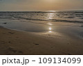 夕暮れ時の高松海岸 109134099