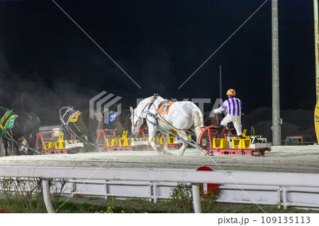 ばんえい競馬 ゴール前の最後の一頭 ばんえい競馬 ゴール前の最後の一頭 109135113