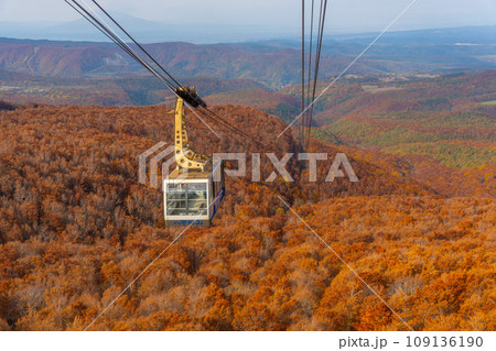 秋の紅葉した八甲田山 秋の紅葉した八甲田山 109136190