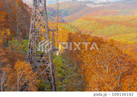 秋の紅葉した八甲田山 秋の紅葉した八甲田山 109136192