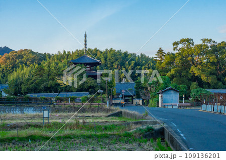 奈良県生駒郡斑鳩町の法輪寺 奈良県生駒郡斑鳩町の法輪寺 109136201