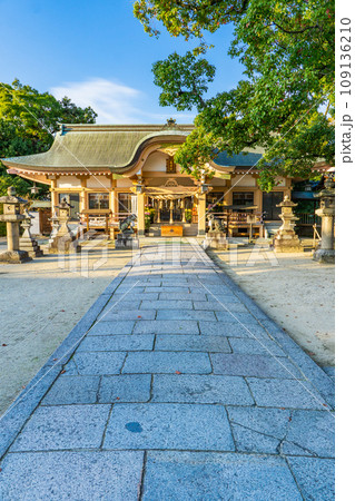 奈良県生駒郡斑鳩町の龍田神社 拝殿 奈良県生駒郡斑鳩町の龍田神社 拝殿 109136210