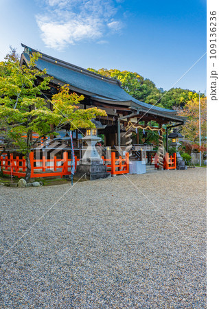 奈良県生駒郡三郷町の龍田大社 拝殿 奈良県生駒郡三郷町の龍田大社 拝殿 109136236