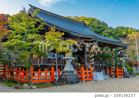 奈良県生駒郡三郷町の龍田大社　拝殿 109136237