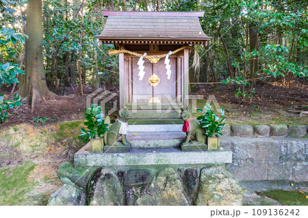 奈良県生駒郡三郷町の龍田大社 三室稲荷神社 奈良県生駒郡三郷町の龍田大社 三室稲荷神社 109136242