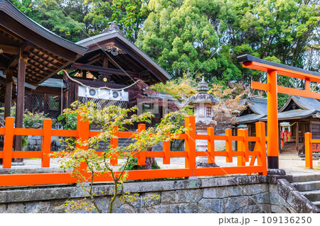 奈良県生駒郡三郷町の龍田大社　祝詞殿 109136250