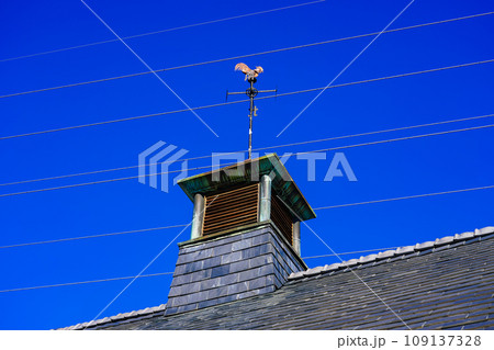 渋沢栄一ゆかりの誠之堂(埼玉県深谷市) 渋沢栄一ゆかりの誠之堂(埼玉県深谷市) 109137328