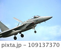 F15-829 109137370
