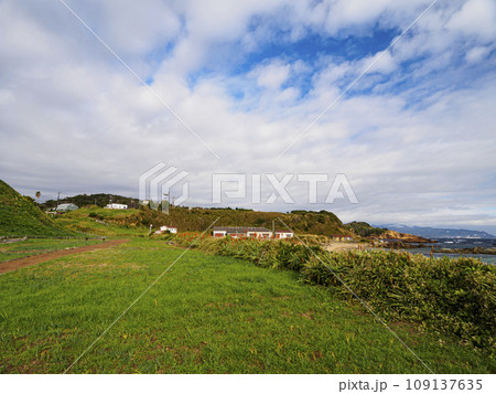 青空と小道の伊豆半島静岡県下田市水仙の自生地の爪木崎 109137635