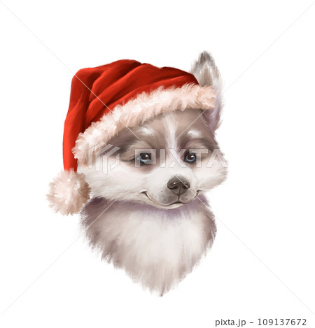 Cute husky dog in Santa hat. Christmas illustration isolated on white 109137672