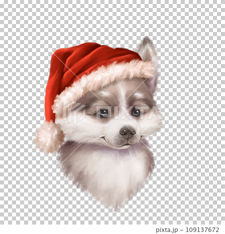Cute husky dog in Santa hat. Christmas illustration isolated on white 109137672