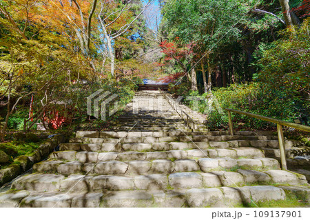 【奈良県】宇陀市 室生寺 (2023/11/21 撮影) 109137901