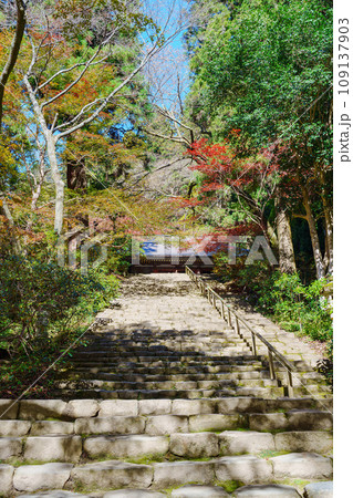 【奈良県】宇陀市 室生寺 (2023/11/21 撮影) 109137903