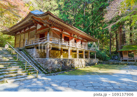 【奈良県】宇陀市 室生寺 (2023/11/21 撮影) 109137906