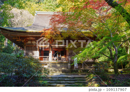 【奈良県】宇陀市 室生寺 (2023/11/21 撮影) 109137907