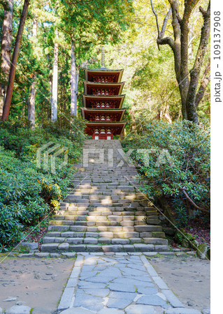 【奈良県】宇陀市 室生寺 (2023/11/21 撮影) 109137908