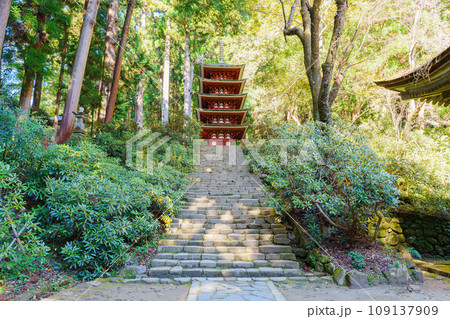 【奈良県】宇陀市 室生寺 (2023/11/21 撮影) 109137909