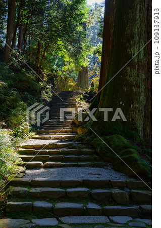 【奈良県】宇陀市 室生寺 (2023/11/21 撮影) 109137913