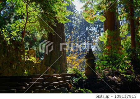 【奈良県】宇陀市 室生寺 (2023/11/21 撮影) 【奈良県】宇陀市 室生寺 (2023/11/21 撮影) 109137915