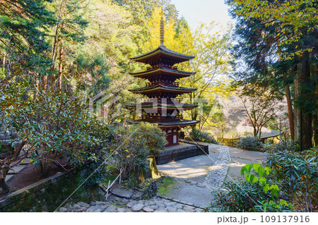 【奈良県】宇陀市 室生寺 (2023/11/21 撮影) 【奈良県】宇陀市 室生寺 (2023/11/21 撮影) 109137916