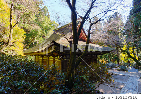 【奈良県】宇陀市 室生寺 (2023/11/21 撮影) 109137918