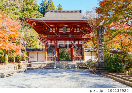 【奈良県】宇陀市 室生寺 (2023/11/21 撮影) 【奈良県】宇陀市 室生寺 (2023/11/21 撮影) 109137926