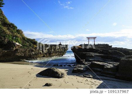 青い空と青い海と鳥居（静岡県下田市白浜・白浜神社） 109137967