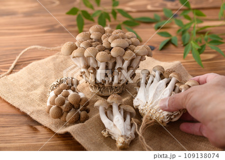 しめじ （ぶなしめじ）木目背景 109138074