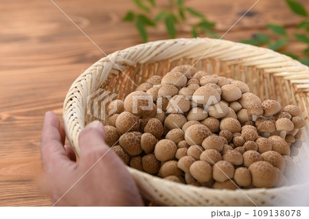 しめじ (ぶなしめじ)木目背景 しめじ (ぶなしめじ)木目背景 109138078