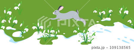 Spring flowers, melting snow and a running hare Spring flowers, melting snow and a running hare 109138565