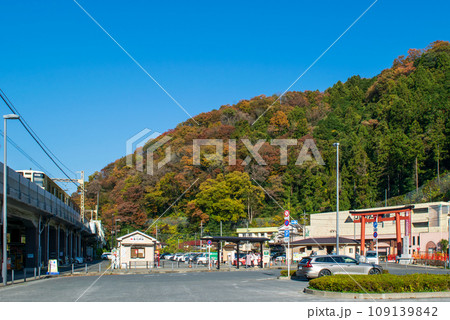 高尾山　高尾山口駅広場　山の紅葉 109139842