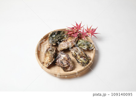 食欲の秋です!!牡蠣が食べたくなる季節でもありますね 食欲の秋です!!牡蠣が食べたくなる季節でもありますね 109140095