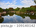 小菅東スポーツ公園の池のリフレクション 109140142