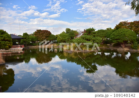 小菅東スポーツ公園の池のリフレクション 109140142