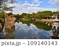 小菅東スポーツ公園の池でのリフレクション 109140143