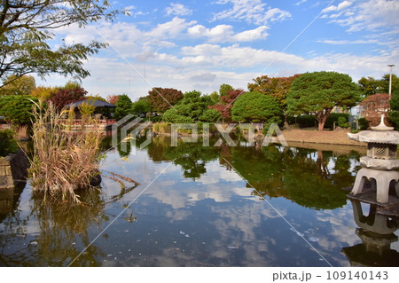 小菅東スポーツ公園の池でのリフレクション 109140143