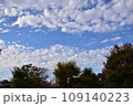 小菅東スポーツ公園上空の青空 109140223