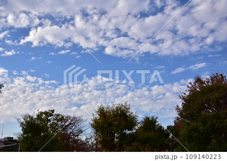 小菅東スポーツ公園上空の青空 109140223