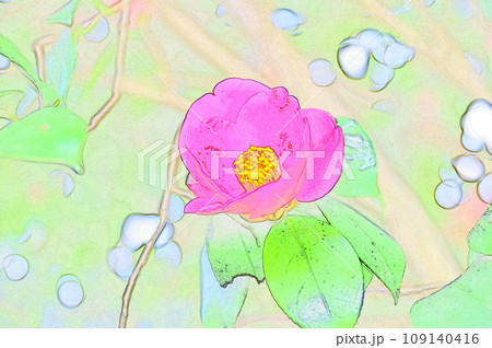 春を待つ季節に咲く椿のイラスト5 109140416