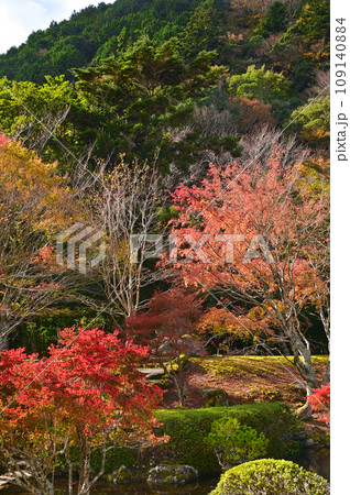 伊豆天城の紅葉 伊豆天城の紅葉 109140884