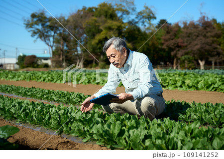 タブレット端末で作物の育成を管理する男性 タブレット端末で作物の育成を管理する男性 109141252