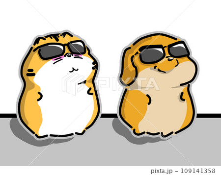 サングラスをかけた猫と犬 109141358