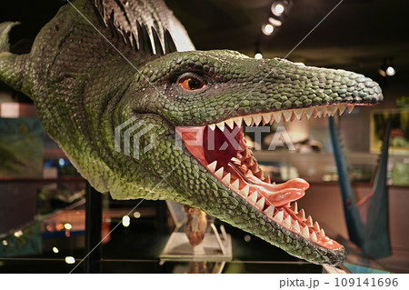 モササウルス類 ティロサウルス 生体復元模型 モササウルス類 ティロサウルス 生体復元模型 109141696