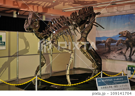 カムイサウルス ジャポニクス 全身復元骨格(レプリカ)を特別展示室 カムイサウルス ジャポニクス 全身復元骨格(レプリカ)を特別展示室 109141704