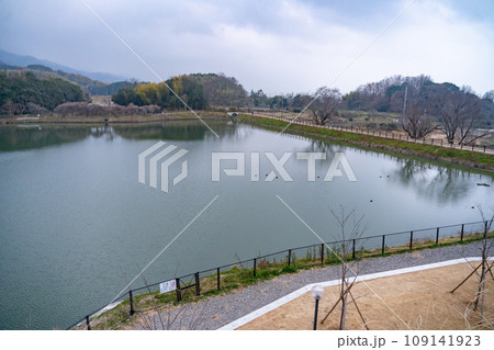 なら歴史芸術文化村　幾坂池　奈良県天理市 109141923