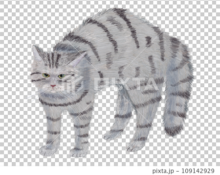 やんのかステップ猫サバ寅 109142929