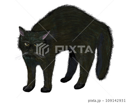 やんのかステップ黒猫 109142931