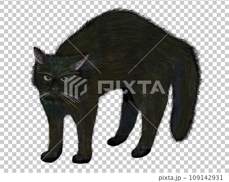 やんのかステップ黒猫 109142931