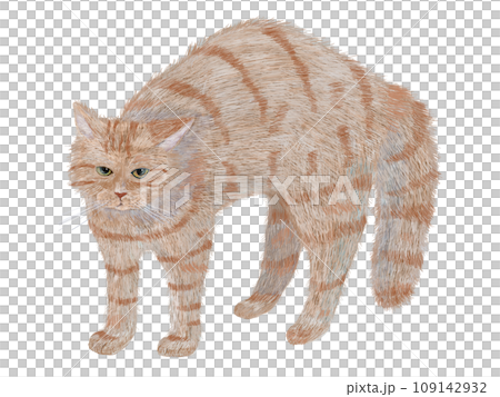 やんのかステップ茶寅猫 109142932